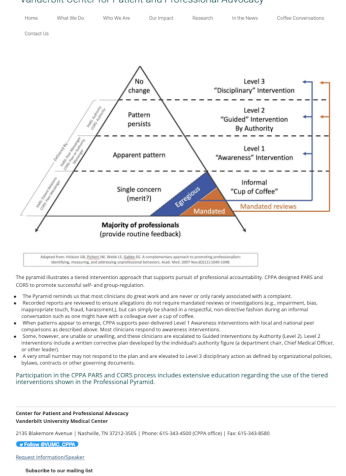 Professional Pyramid from the Vanderbilt Centre