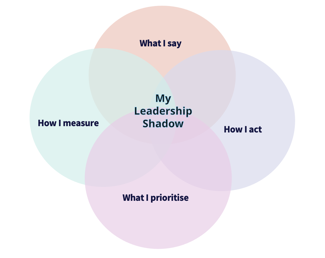 Leadership Shadow Model