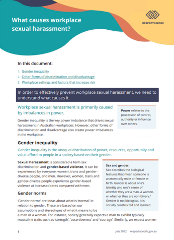 What causes workplace sexual harassment factsheet