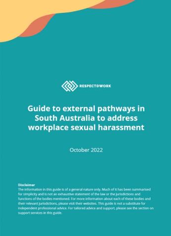 Image of SA guide
