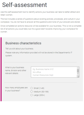 Screenshot of employing and supporting women self-assessment tool webpage